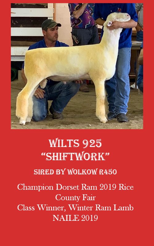 925 sires june2021