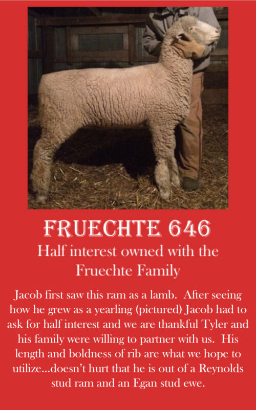 freuchte buck june2021